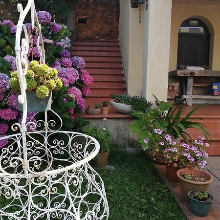 B&B Dal Brillante Seravezza Buitenkant foto
