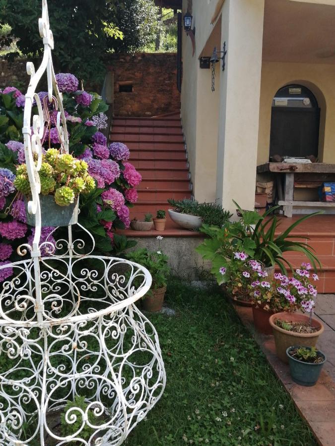 B&B Dal Brillante Seravezza Buitenkant foto